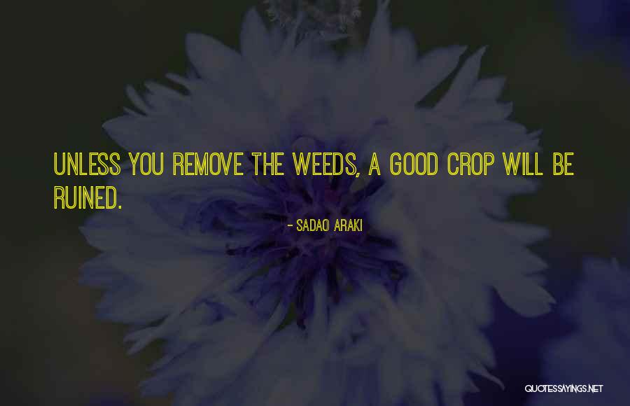 Sadao Araki Quotes 919393 Sadao Araki Quotes 919393