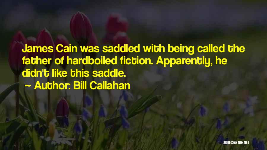 Saddle Quotes By Bill Callahan