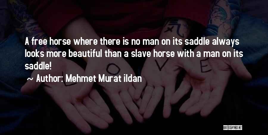 Saddle Quotes By Mehmet Murat Ildan