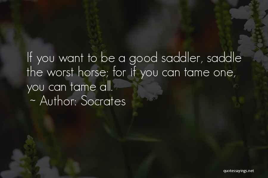 Saddle Quotes By Socrates
