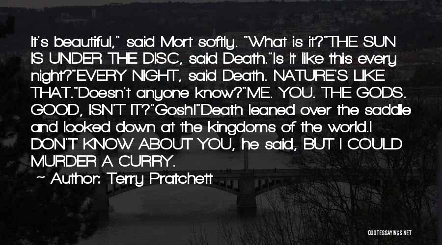 Saddle Quotes By Terry Pratchett