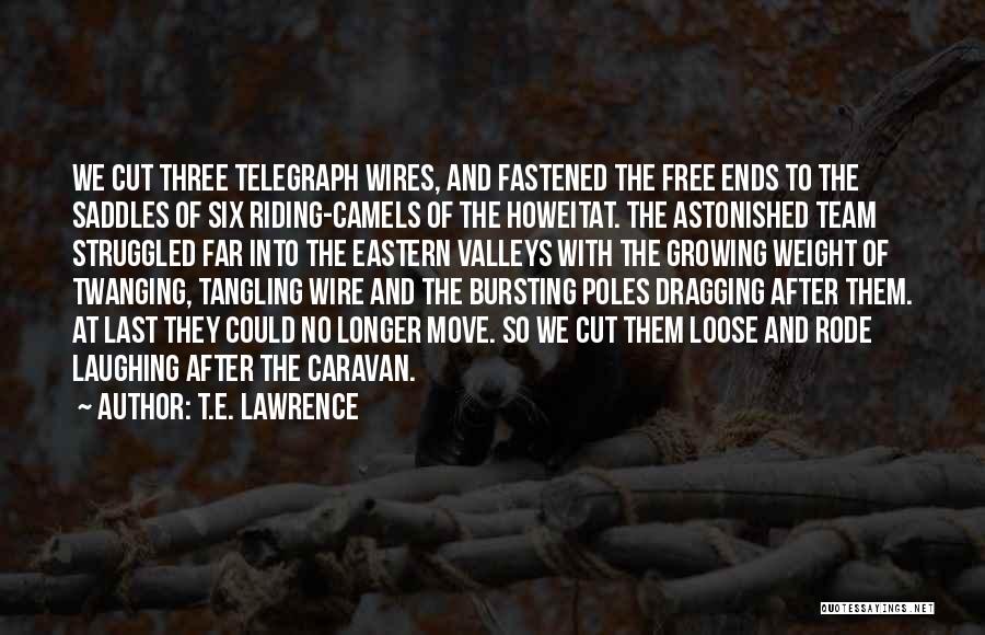 Saddles Quotes By T.E. Lawrence Saddles Quotes By T.E. Lawrence