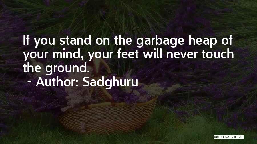 Sadghuru Quotes 804384