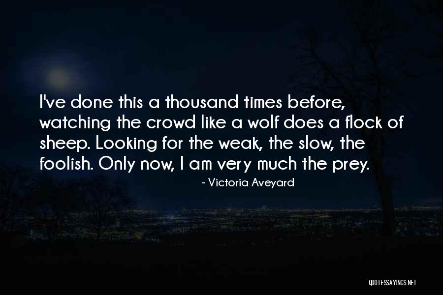 Sadguru Sivananda Murthy Quotes By Victoria Aveyard Sadguru Sivananda Murthy Quotes By Victoria Aveyard