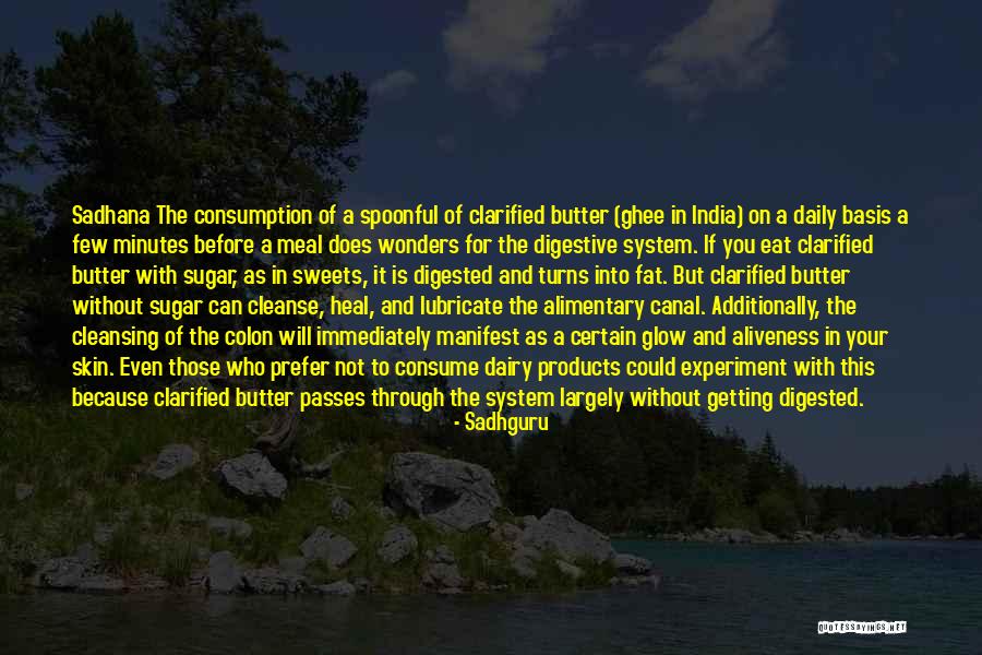 Sadhana Quotes By Sadhguru