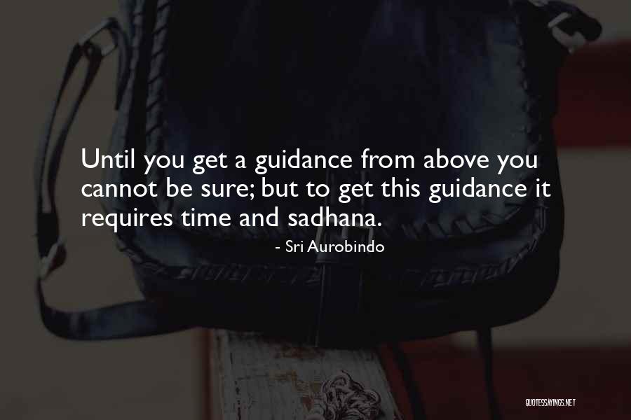 Sadhana Quotes By Sri Aurobindo