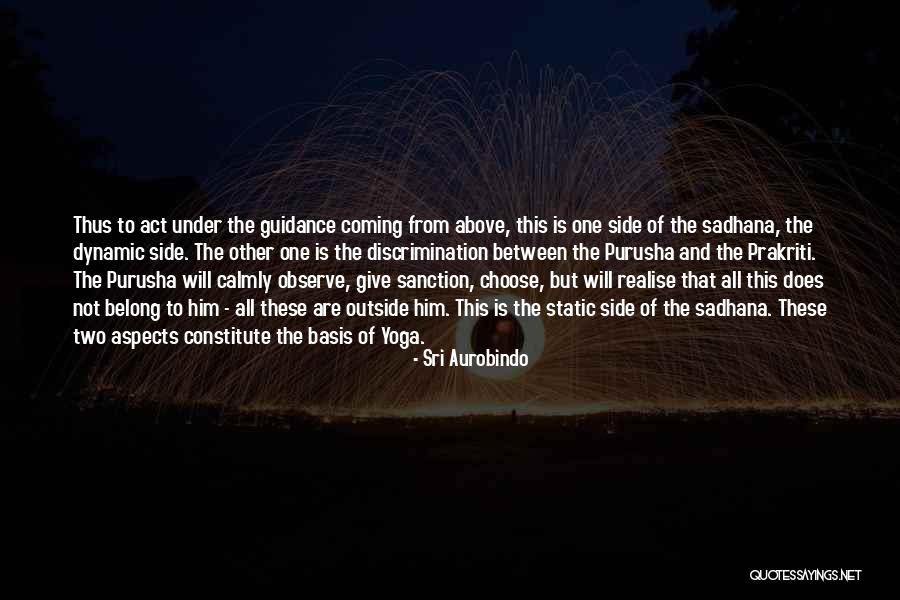 Sadhana Quotes By Sri Aurobindo