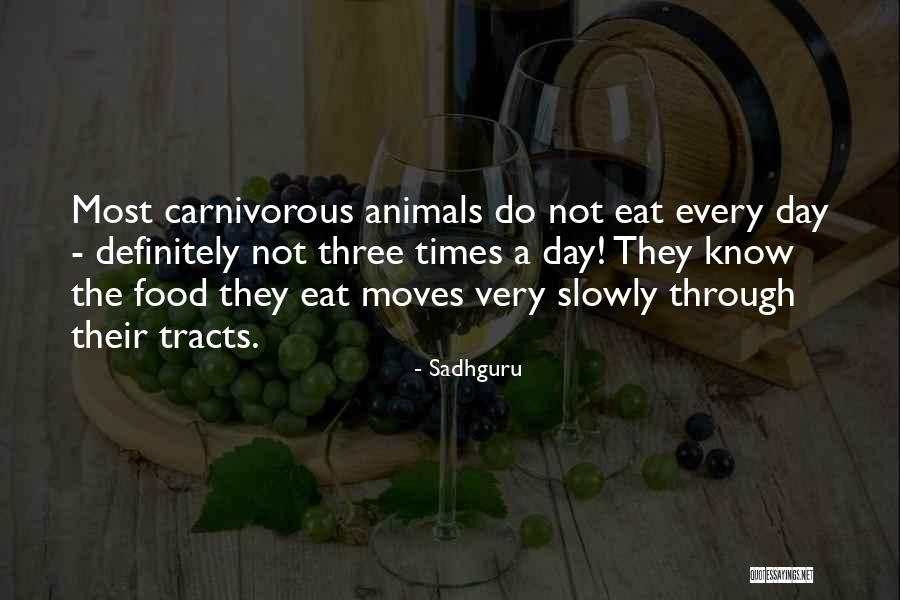 Sadhguru Quotes 1683154