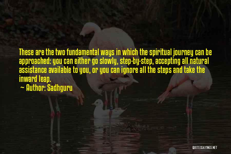 Sadhguru's Quotes By Sadhguru