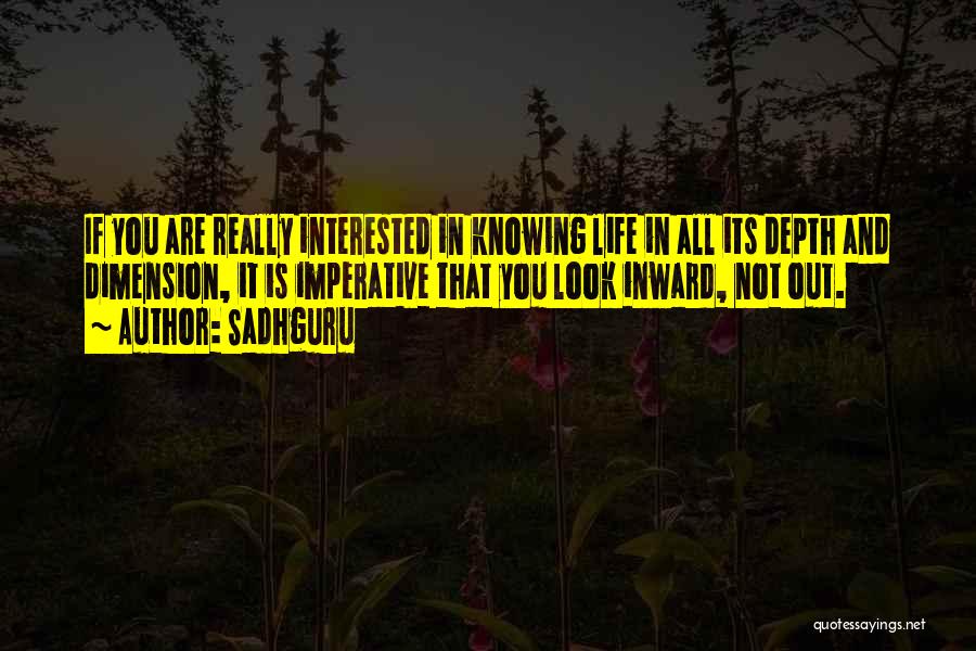 Sadhguru's Quotes By Sadhguru
