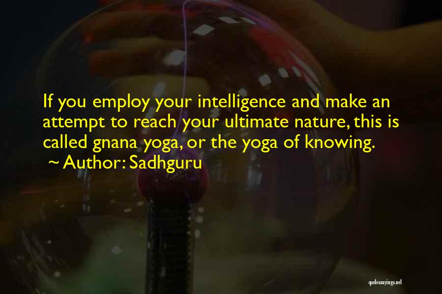 Sadhguru's Quotes By Sadhguru