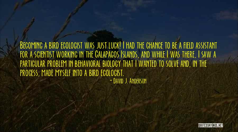 Sadiddy Hippie Quotes By David J. Anderson Sadiddy Hippie Quotes By David J. Anderson