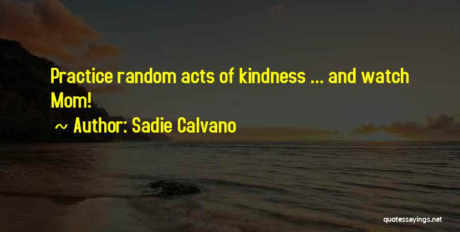 Sadie Calvano Quotes 1340485