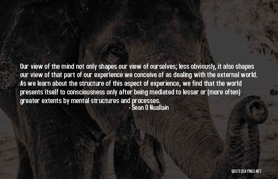 Sadiyah Shakur Quotes By Sean O Nuallain Sadiyah Shakur Quotes By Sean O Nuallain