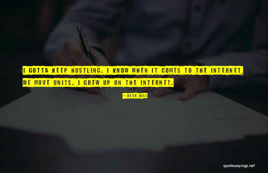 Sadje In Zelenjava Quotes By Meek Mill Sadje In Zelenjava Quotes By Meek Mill