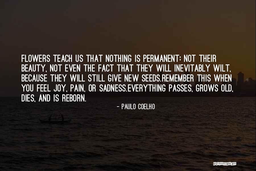 Sadness And Beauty Quotes By Paulo Coelho Sadness And Beauty Quotes By Paulo Coelho