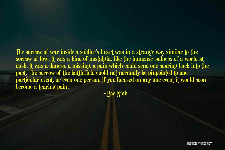 Sadness From Inside Out Quotes By Bao Ninh Sadness From Inside Out Quotes By Bao Ninh