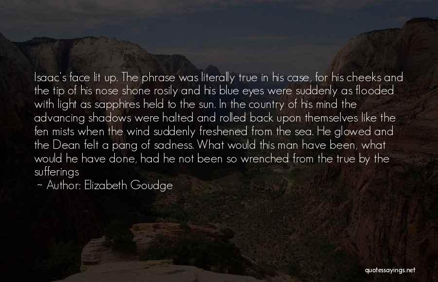 Sadness In Your Eyes Quotes By Elizabeth Goudge