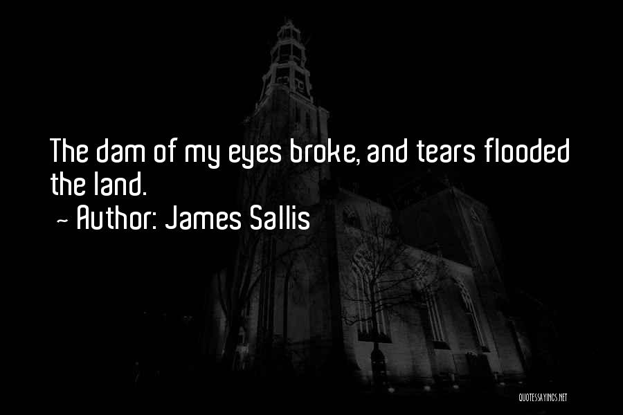 Sadness In Your Eyes Quotes By James Sallis