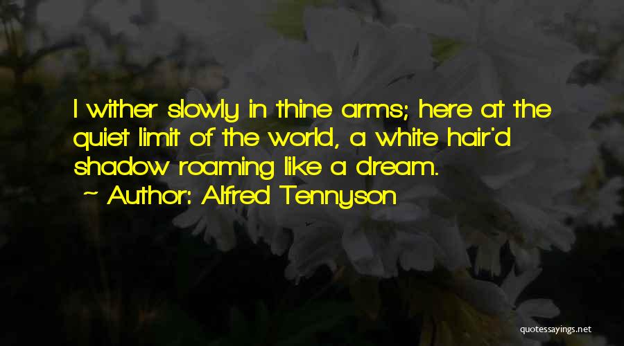 Sadness Of Death Quotes By Alfred Tennyson