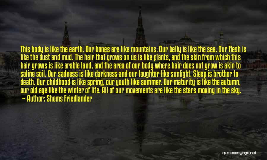 Sadness Of Death Quotes By Shems Friedlander