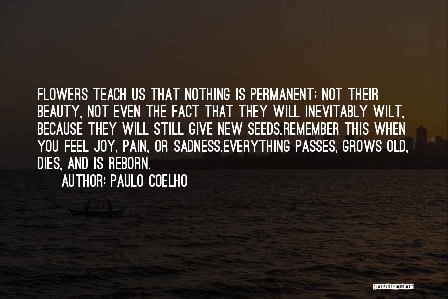 Sadness Passes Quotes By Paulo Coelho