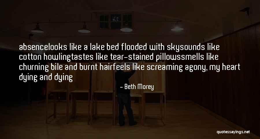 Sadness Poetry Quotes By Beth Morey Sadness Poetry Quotes By Beth Morey