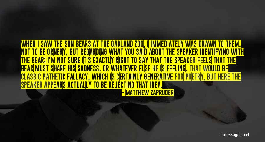 Sadness Poetry Quotes By Matthew Zapruder Sadness Poetry Quotes By Matthew Zapruder