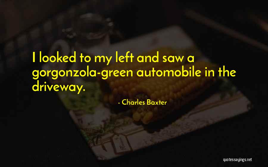 Sadoun Quotes By Charles Baxter Sadoun Quotes By Charles Baxter