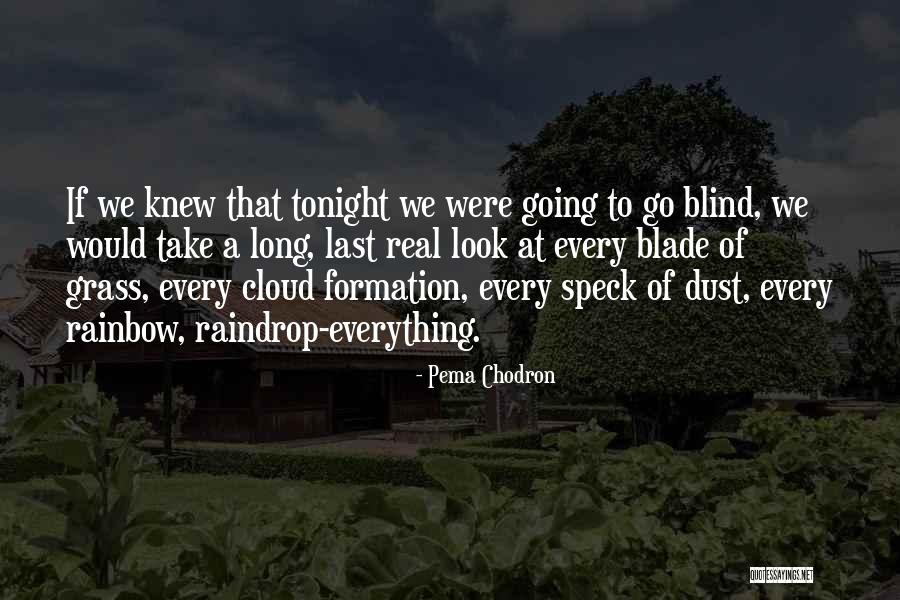 Sadr Ina Tehnicke Dokumentacije Quotes By Pema Chodron Sadr Ina Tehnicke Dokumentacije Quotes By Pema Chodron
