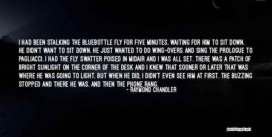 Sadri Abazi Quotes By Raymond Chandler Sadri Abazi Quotes By Raymond Chandler