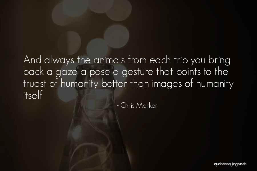 Saeid Mohammadpourkarkaragh Quotes By Chris Marker Saeid Mohammadpourkarkaragh Quotes By Chris Marker