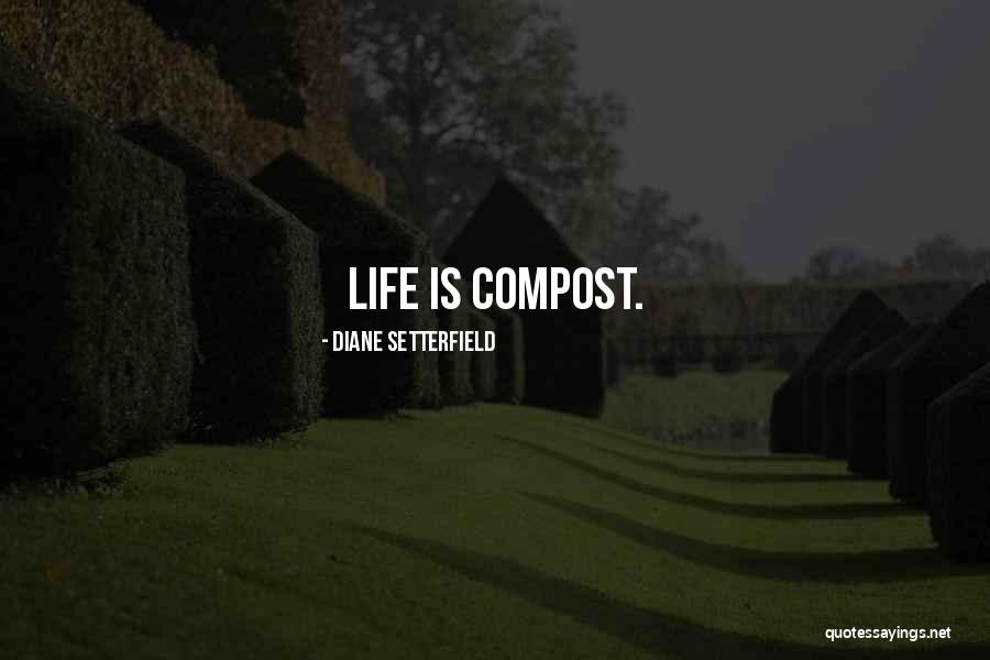 Saemi Quotes By Diane Setterfield Saemi Quotes By Diane Setterfield
