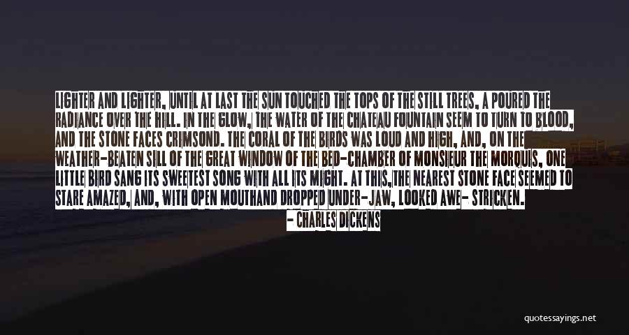 Saetta Aircraft Quotes By Charles Dickens Saetta Aircraft Quotes By Charles Dickens