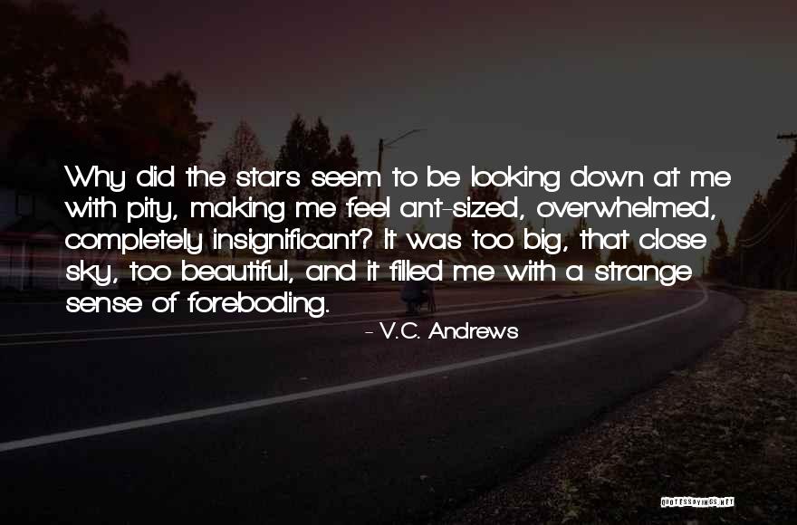 Safaier Quotes By V.C. Andrews Safaier Quotes By V.C. Andrews