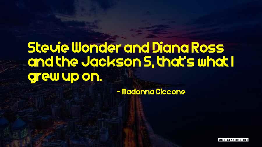 Safalta Par Quotes By Madonna Ciccone