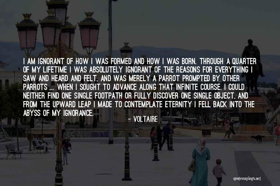 Safalta Par Quotes By Voltaire Safalta Par Quotes By Voltaire