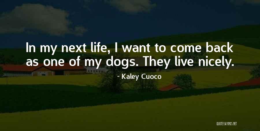 Safaree Net Quotes By Kaley Cuoco