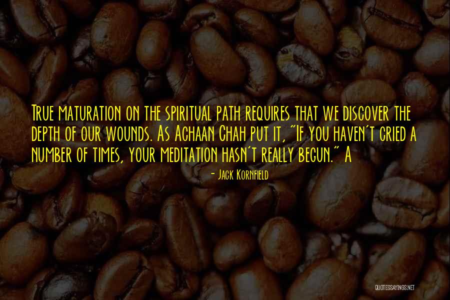 Safari Guide Quotes By Jack Kornfield Safari Guide Quotes By Jack Kornfield