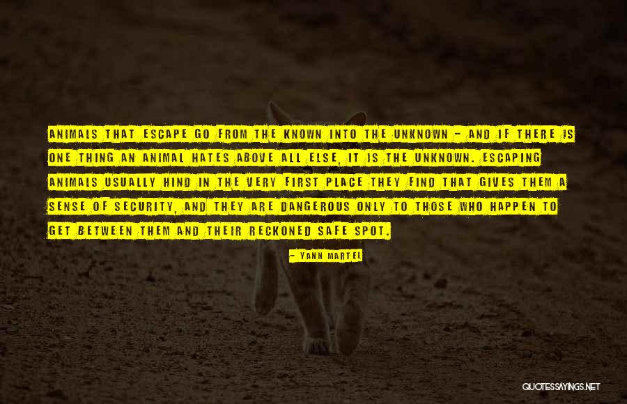 Safe And Security Quotes By Yann Martel Safe And Security Quotes By Yann Martel