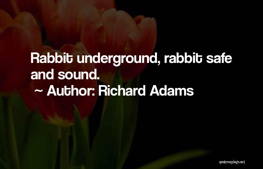 Safe And Sound Quotes By Richard Adams