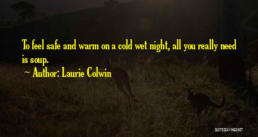 Safe And Warm Quotes By Laurie Colwin