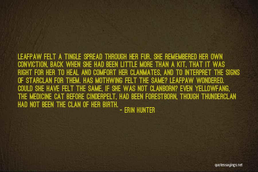 Safe Auto Terrible Quotes By Erin Hunter Safe Auto Terrible Quotes By Erin Hunter