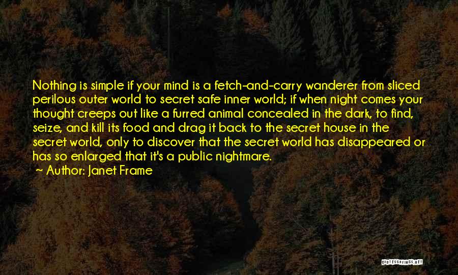 Safe Food Quotes By Janet Frame