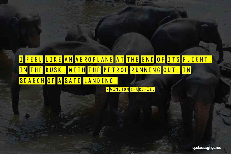 Safe Landing Quotes By Winston Churchill Safe Landing Quotes By Winston Churchill