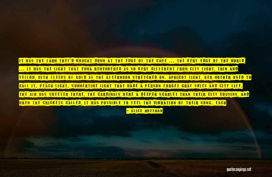 Safe Skies Quotes By Alice Hoffman Safe Skies Quotes By Alice Hoffman