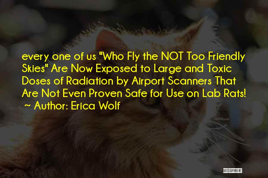 Safe Skies Quotes By Erica Wolf