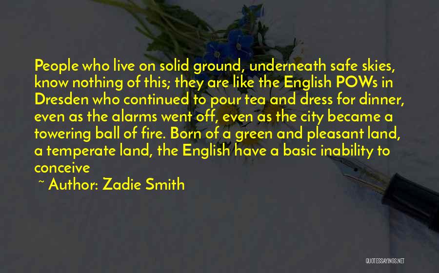 Safe Skies Quotes By Zadie Smith