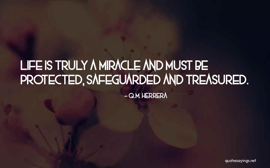 Safeguarded Quotes By Q.M. Herrera