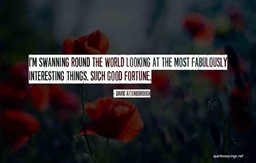 Safer Decisions Quotes By David Attenborough Safer Decisions Quotes By David Attenborough